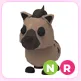 NR Hyena
