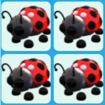 x4 Ladybug