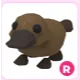 R Platypus
