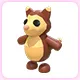 Tree Kangaroo