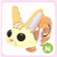 N Bunny Swirl
