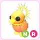 NR Sunrise Duckling