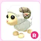 R Ram