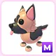 M German Shepherd