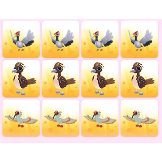 x12 Random Pets