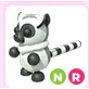 NR Ring-Tailed Lemur