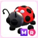 MR Ladybug