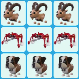 x9 Random Pets