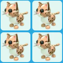 x4 Leopard Cat