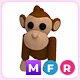 MFR Monkey