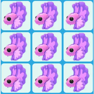 x9 Pink Betta Fish