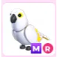 MR White Amazon