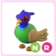 NR Green-Chested Pheasant