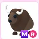 MR Buffalo