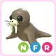 NFR Walrus
