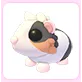 Tortoiseshell Guinea Pig