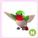 N Hummingbird