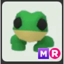 MR Frog