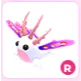 R Sea Slug