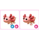 x2 Axolotl