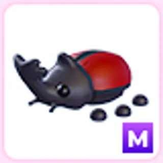 M Rhino Beetle