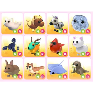 x12 Random NR Pets