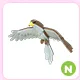 N Hawk