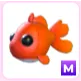 M Goldfish