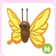 N Yellow Butterfly