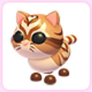 Catte