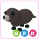NFR Otter
