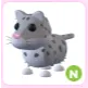 N Snow Leopard