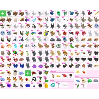 x649 Random Pet