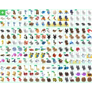 x685 Random Pet