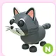 N Raccoon