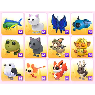 x12 Random M Pets