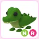 NR Crocodile
