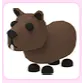 Capybara