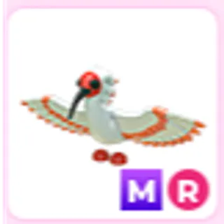 MR Ibis