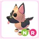NR German Shepherd