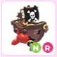 NR Pirate Hermit Crab