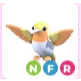 NFR Golden Hummingbird