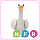 NFR Swan