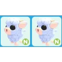 x2 N Angus Calf