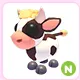 N Cow Calf