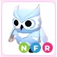NFR Snow Owl
