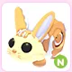 N Bunny Swirl