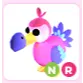 NR Dodo
