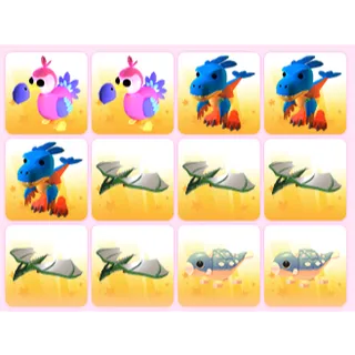 x24 Random Pets
