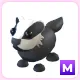 M Badger